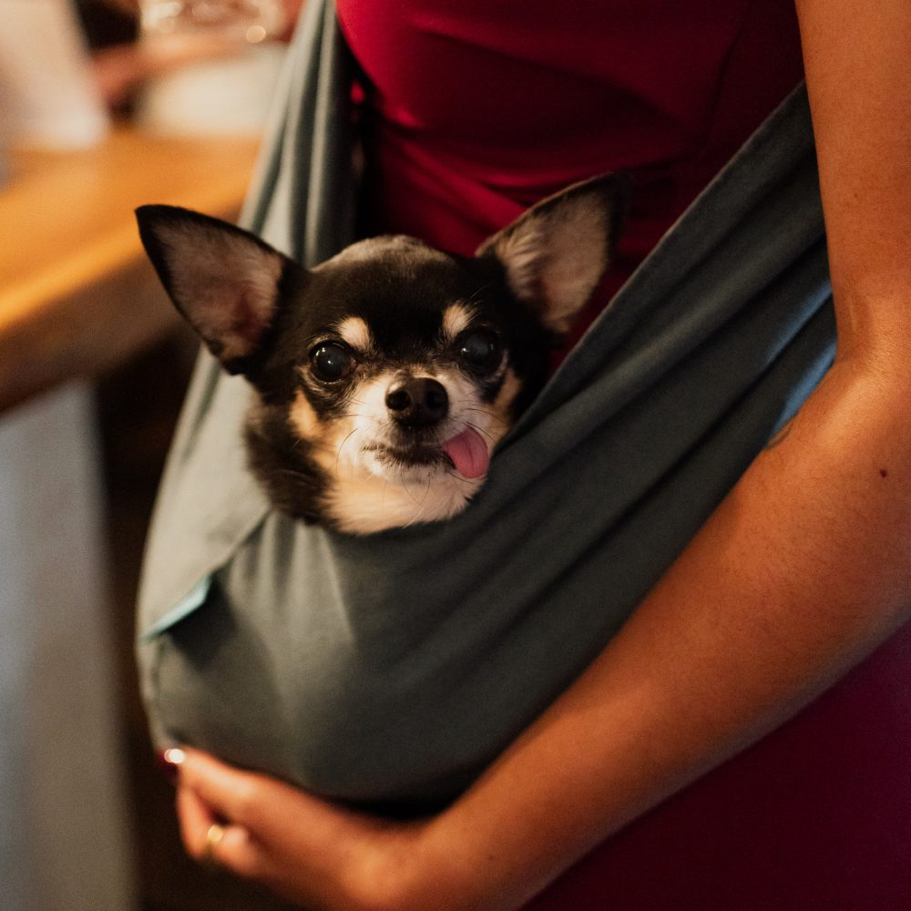 VSFriendsmas-edited-034