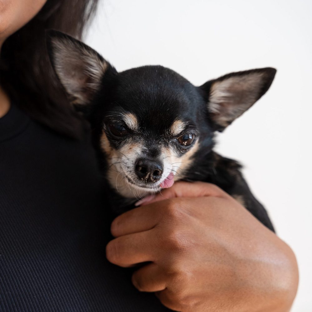 finesseXvegansparen-072